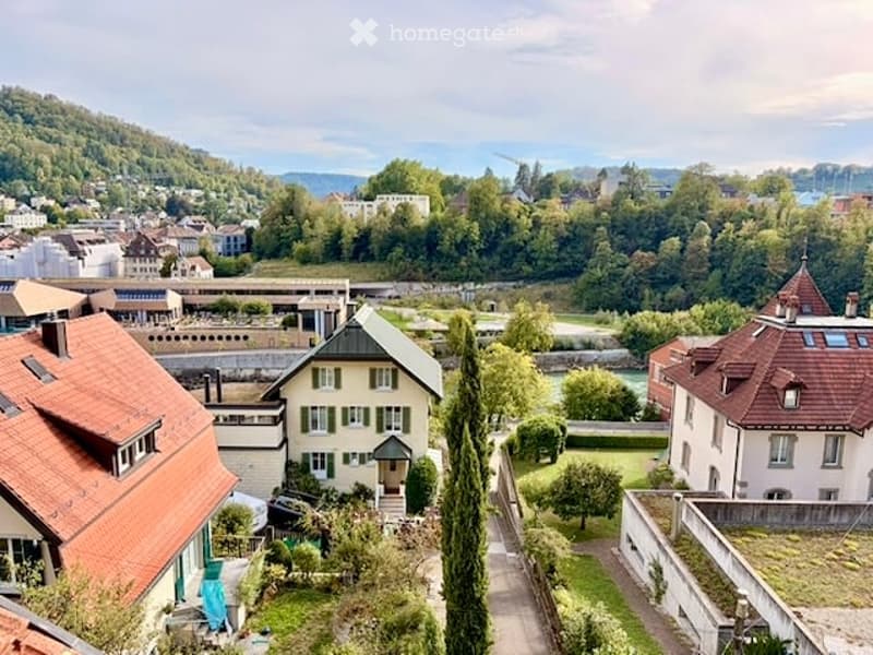 A scenic view of a town with traditional houses, green hills, and a river in the background.