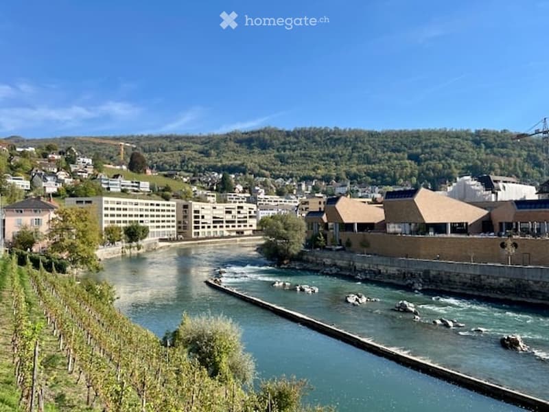 A scenic view of a town with a river running through it, surrounded by greenery and buildings.
