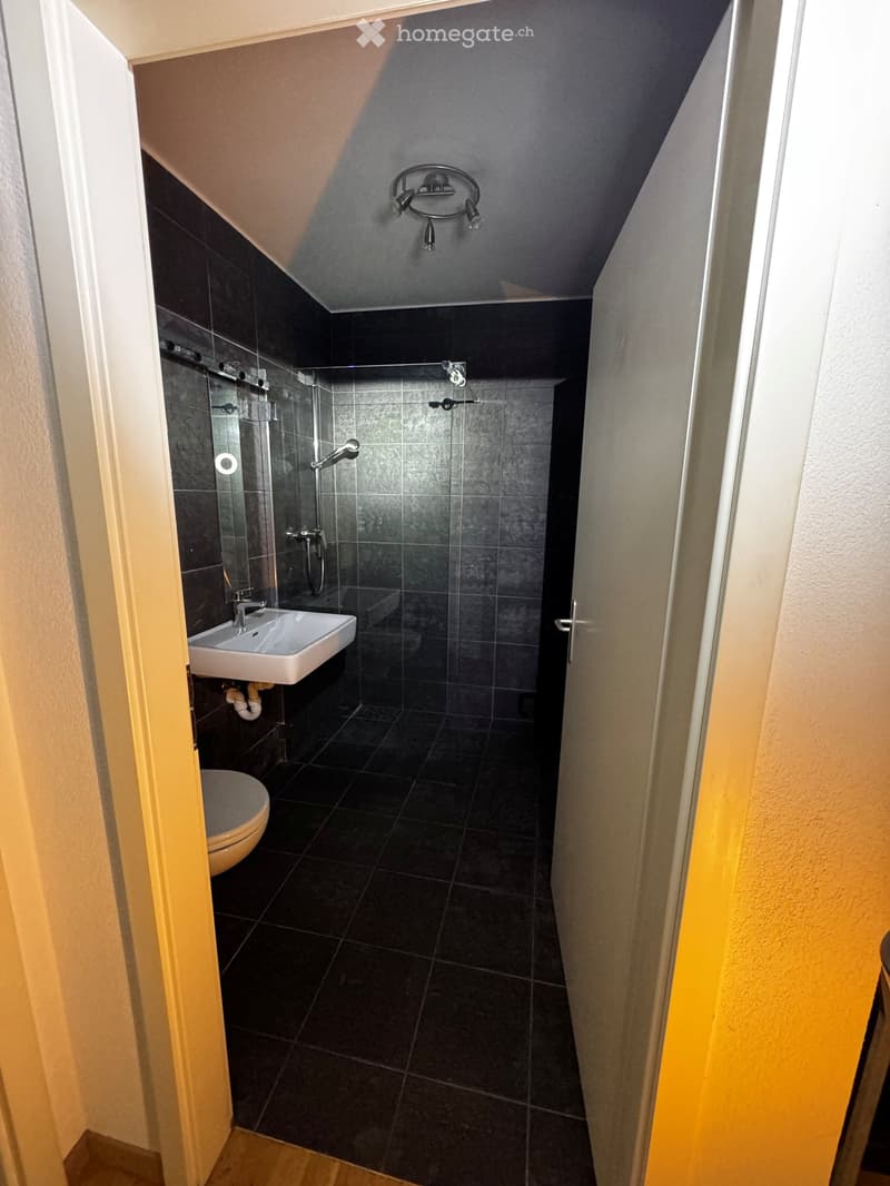 Modern bathroom with dark tiles, a toilet, a sink, a shower, and a mirror. The ceiling has a built-in light fixture.