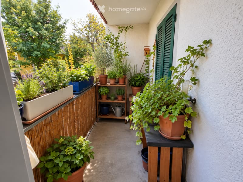 Balcony with potted plants, small wooden shelf, and a birdhouse mounted on the wall.