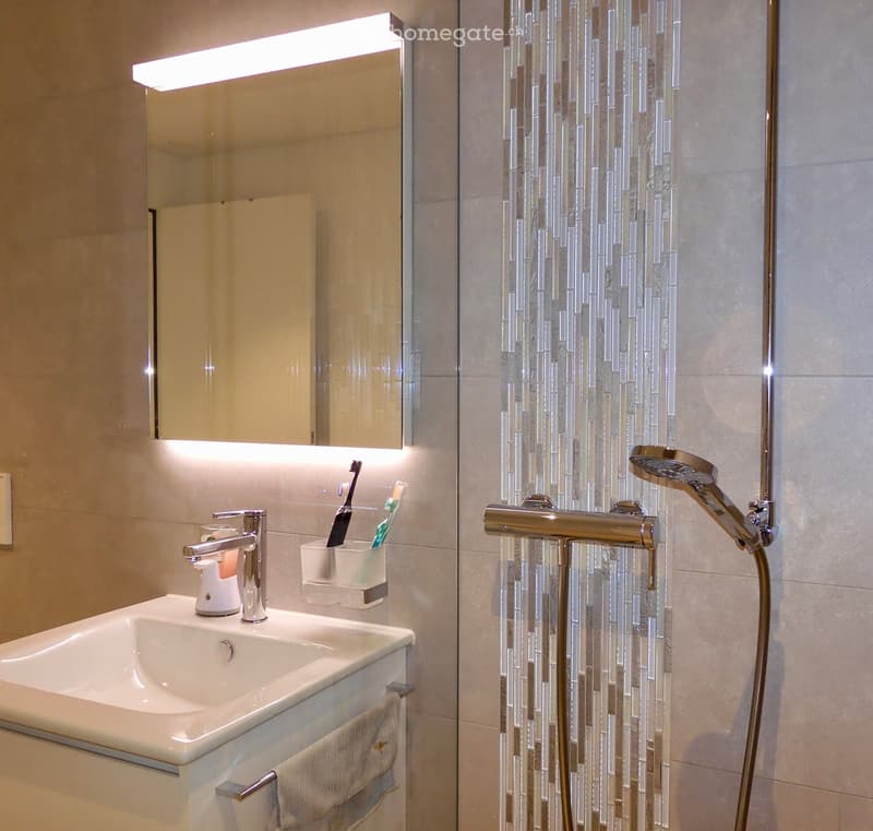 Modern bathroom with a white sink, chrome faucet, toothbrush holder, mirror with built-in lighting, and a showerhead with adjustable settings.
