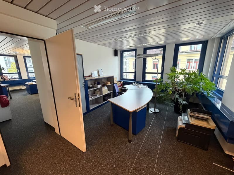 Office space with a curved desk, chair, potted plants, shelves, printer, and telephone.