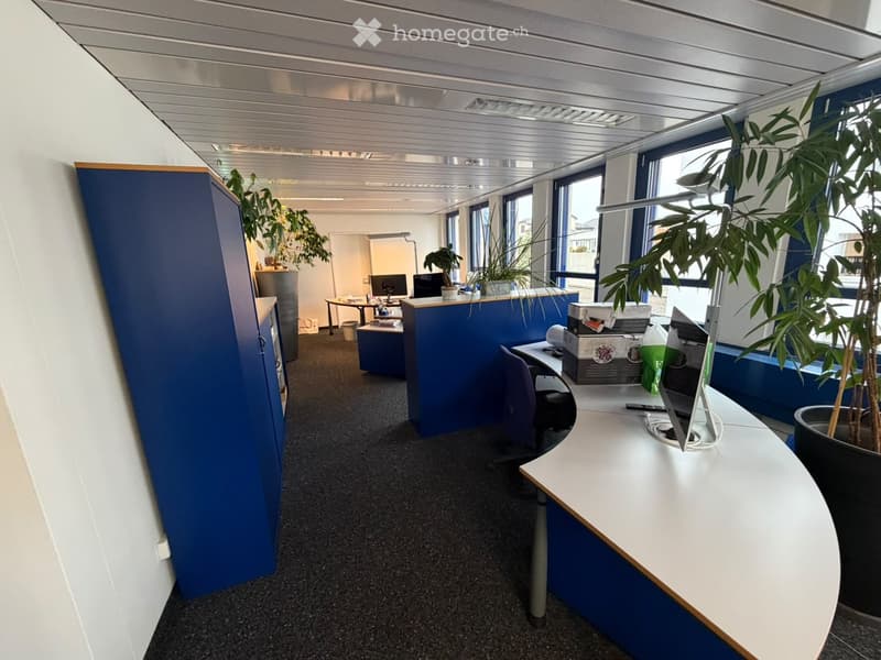 Modern office space with desks, chairs, computers, and potted plants, featuring blue partitions and large windows.