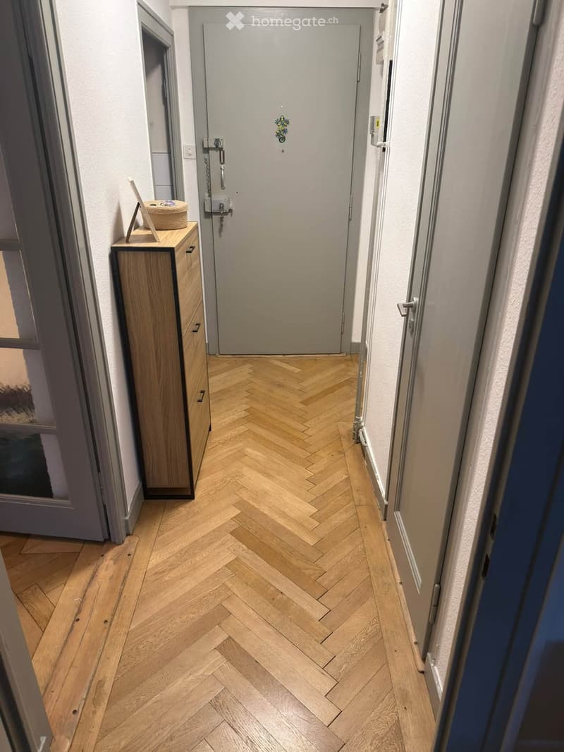 Hallway with herringbone wooden flooring, a small wooden cabinet with drawers on the left, and a closed door at the end.