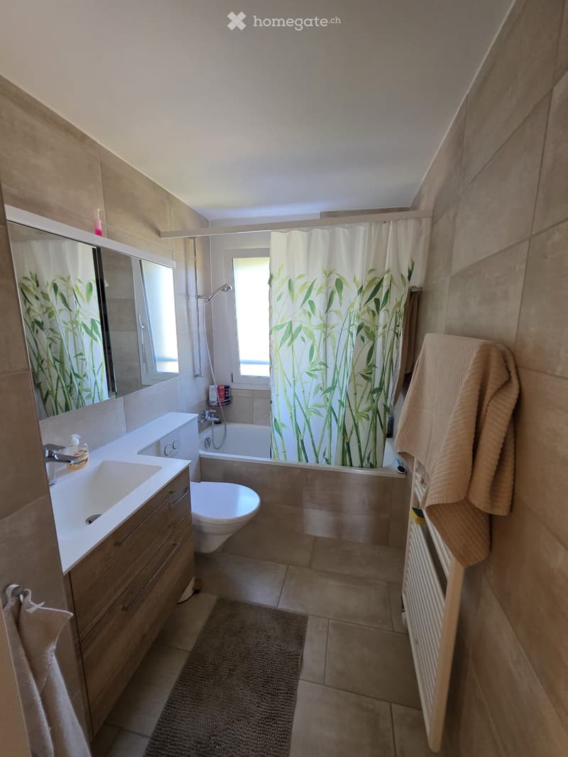 Schöne 3,5-Zimmer-Wohnung mit grossem Balkon in Fislisbach (3)