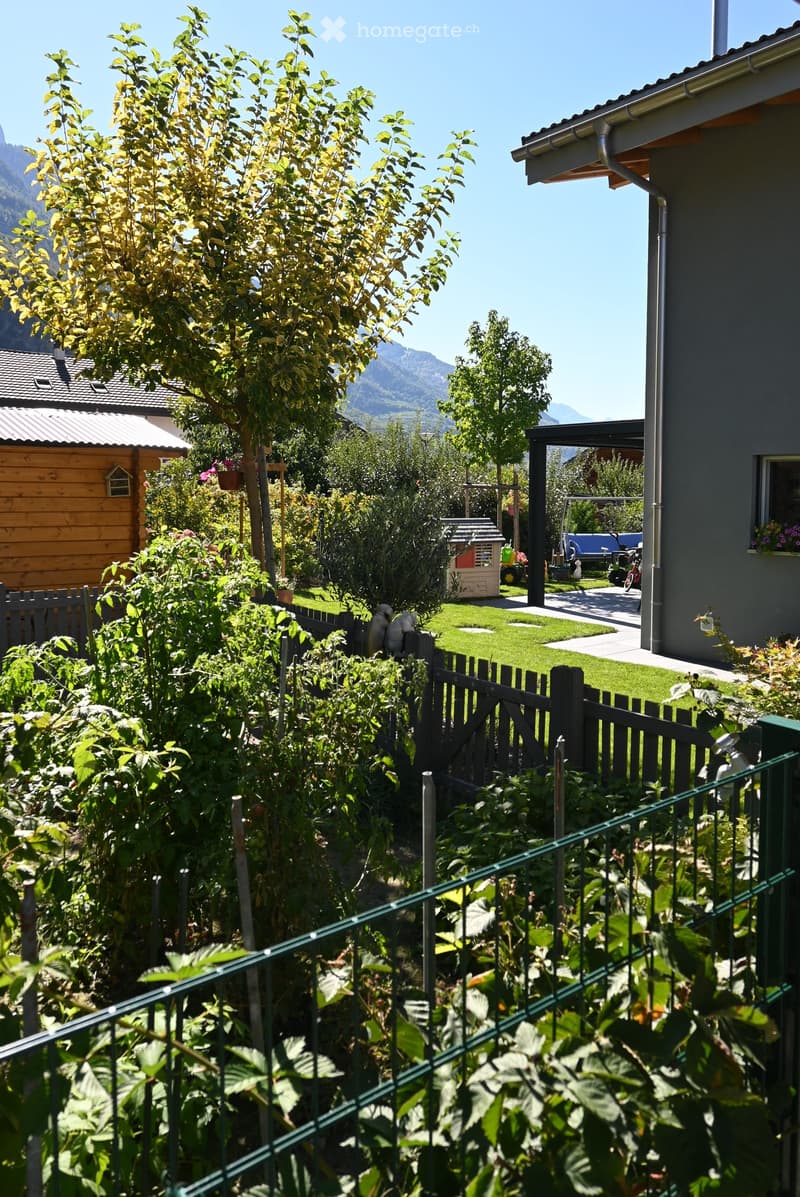 A well-maintained garden with a variety of trees, shrubs, a wooden fence, and a small wooden shed. The garden is enclosed by a metal railing and features a clear view of mountains in the background.