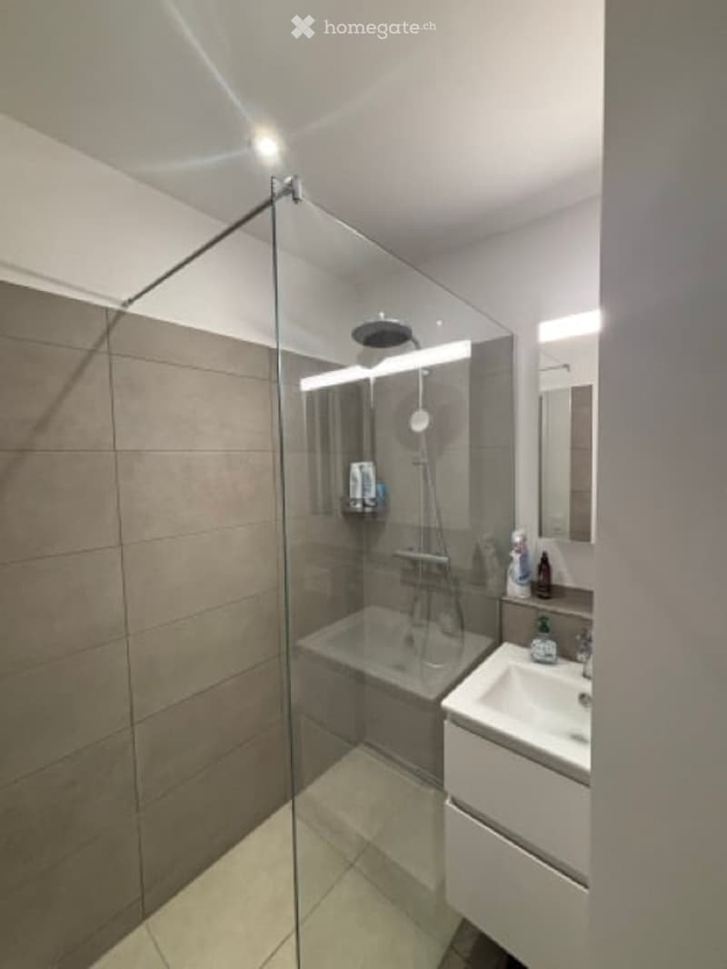 Modern bathroom with a glass-enclosed shower, bathtub, sink, and mirror. Features include a sleek design with grey tiles and a built-in shelf in the shower area.