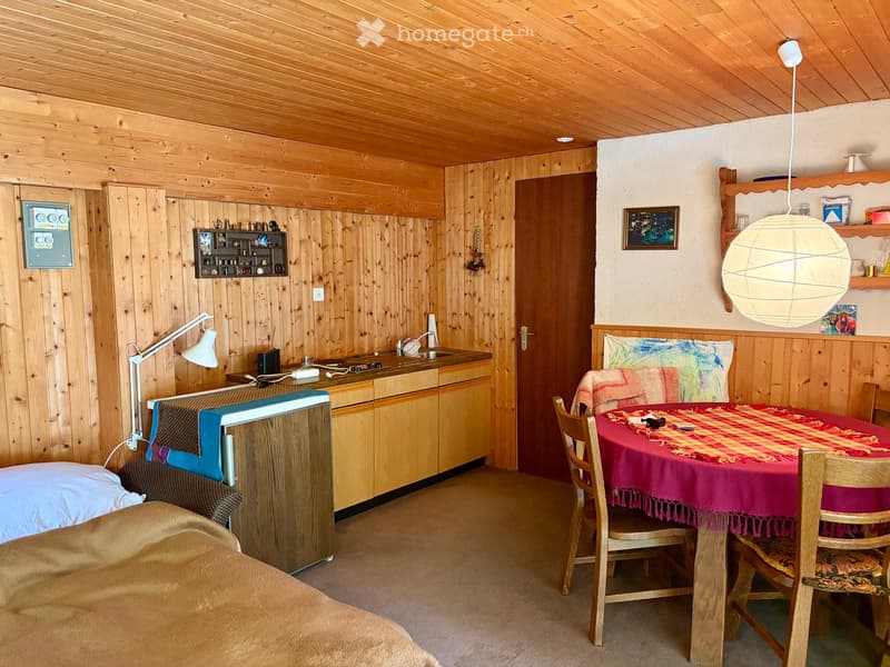 Cozy, wooden-paneled room with a sofa, small kitchen area, dining table with chairs, and decorative shelves.