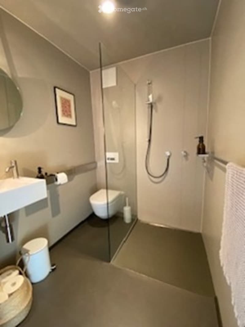 Modern bathroom with a glass-enclosed shower, a white sink, a toilet, and a towel on a rack. The walls are light-colored, and there is a framed picture on the wall.