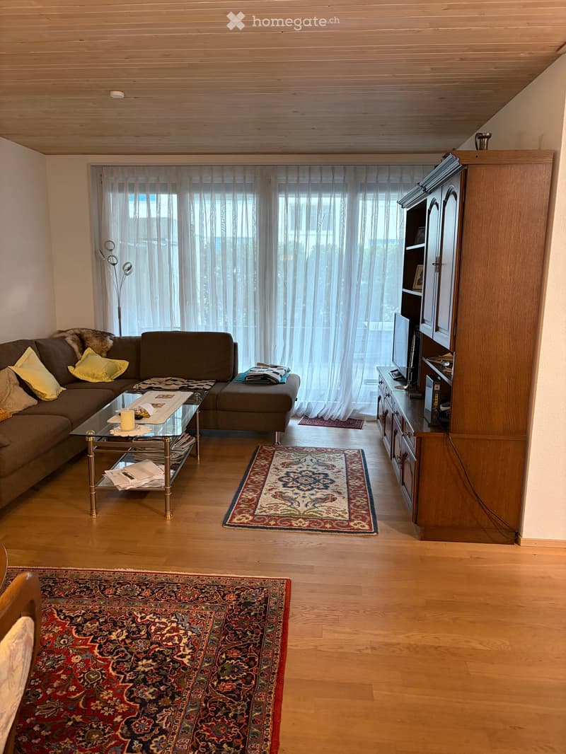 A modern living room with wooden flooring, a large window with sheer curtains, a sectional sofa with pillows, a glass coffee table, a television cabinet, and two patterned rugs.