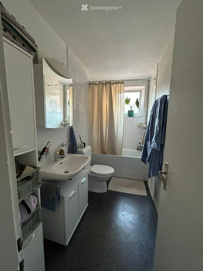 Functional bathroom with a sink, toilet, bathtub, and a small window with a plant on the sill. White cabinets and a dark floor.