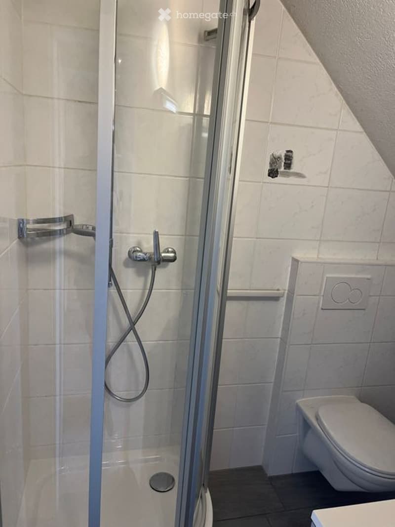 Modern bathroom with a glass-enclosed shower stall, a toilet, and a sleek chrome faucet.