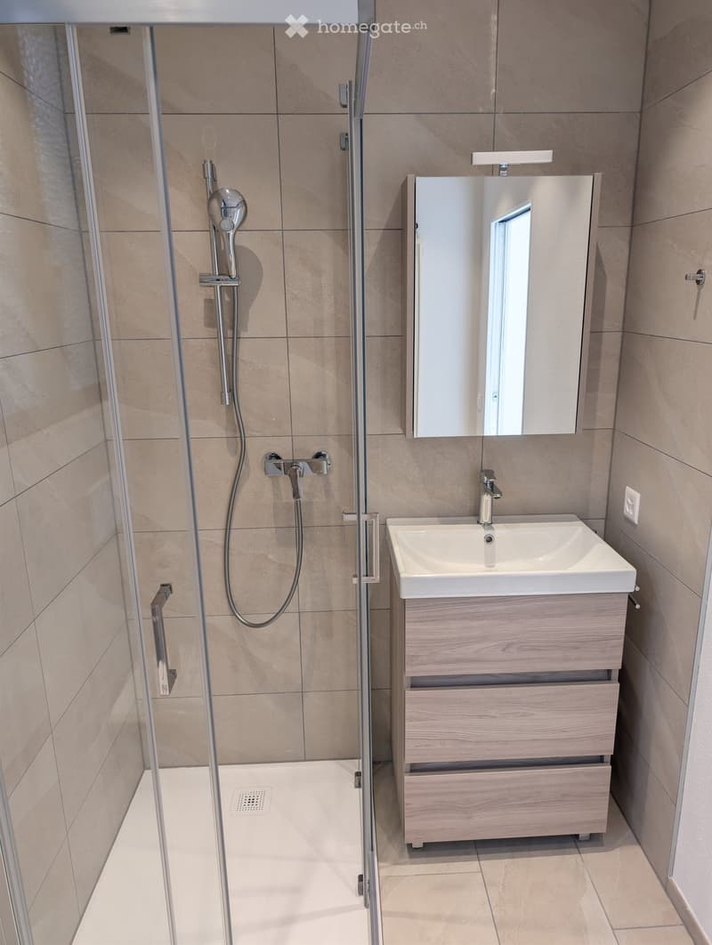 Modern bathroom with a white sink, wooden cabinet, mirror, and a glass-enclosed shower with a handheld showerhead.