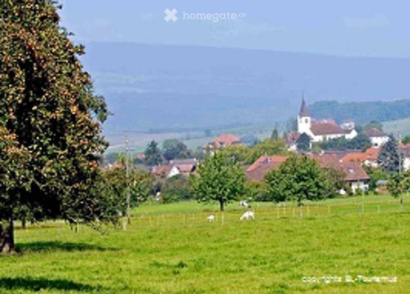 A peaceful rural landscape with green fields, scattered trees, grazing sheep, and a small village with houses and a church in the background.