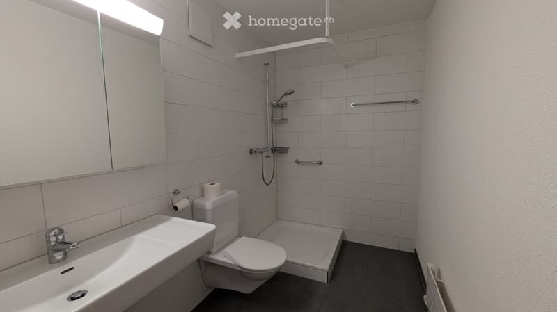 Modern bathroom with a white tiled shower area, a sink, a toilet, and a large mirror above the sink.