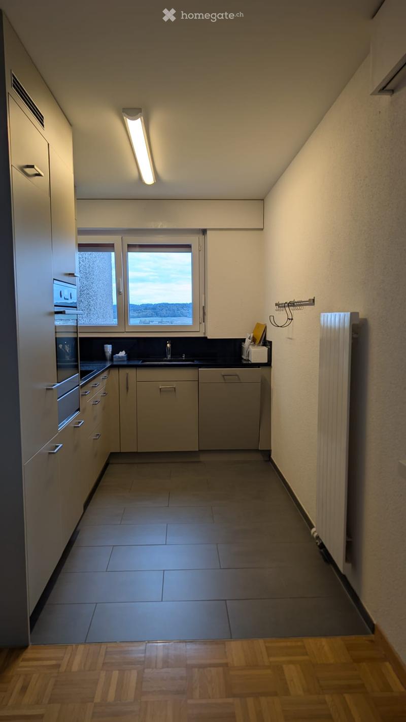 Modern kitchen with grey cabinets, black countertop, sink, and a window offering a scenic view.