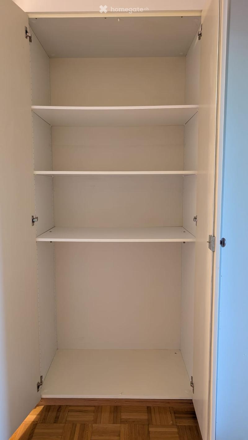 Empty closet with white walls, wooden floor, and multiple empty shelves.