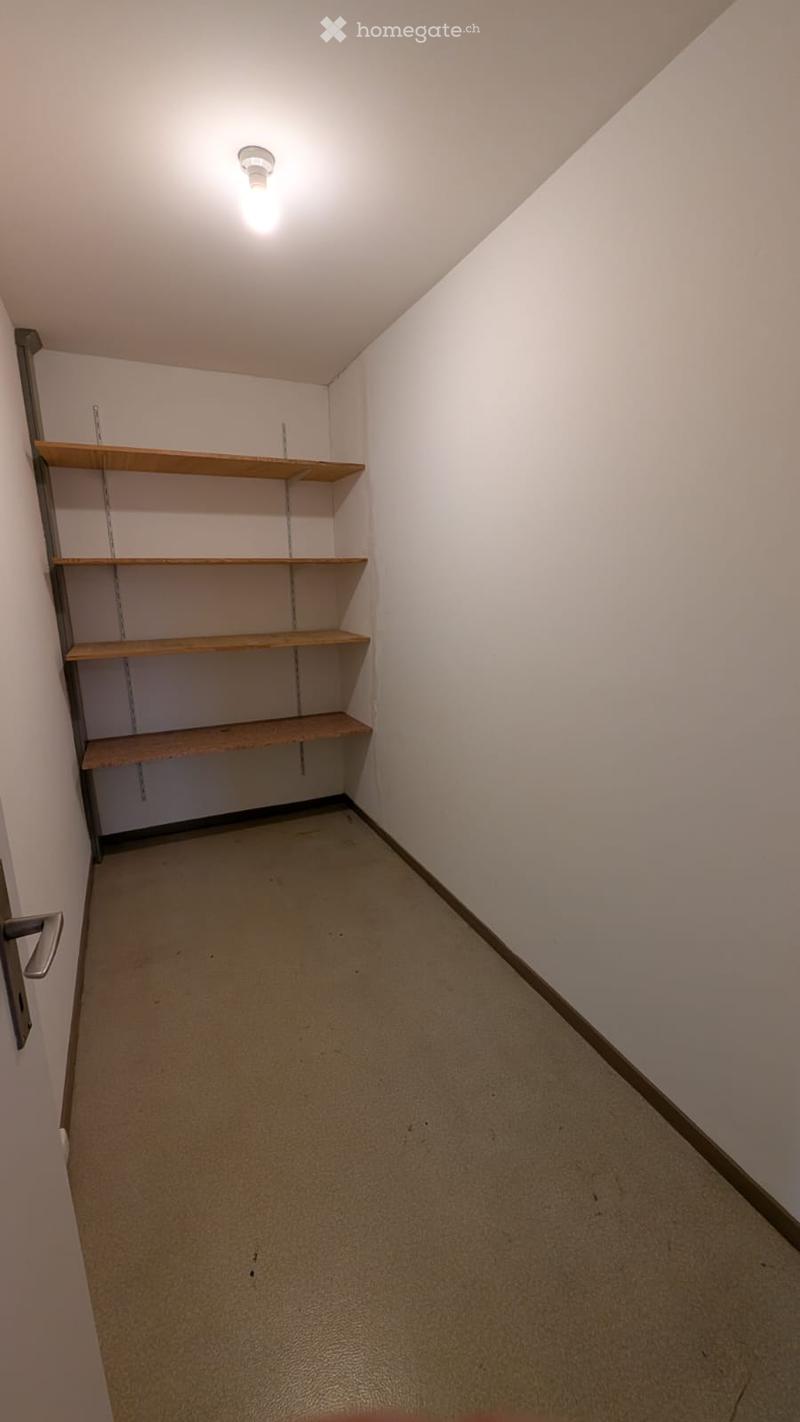 Empty room with white walls, wooden shelves, and a single light fixture on the ceiling.