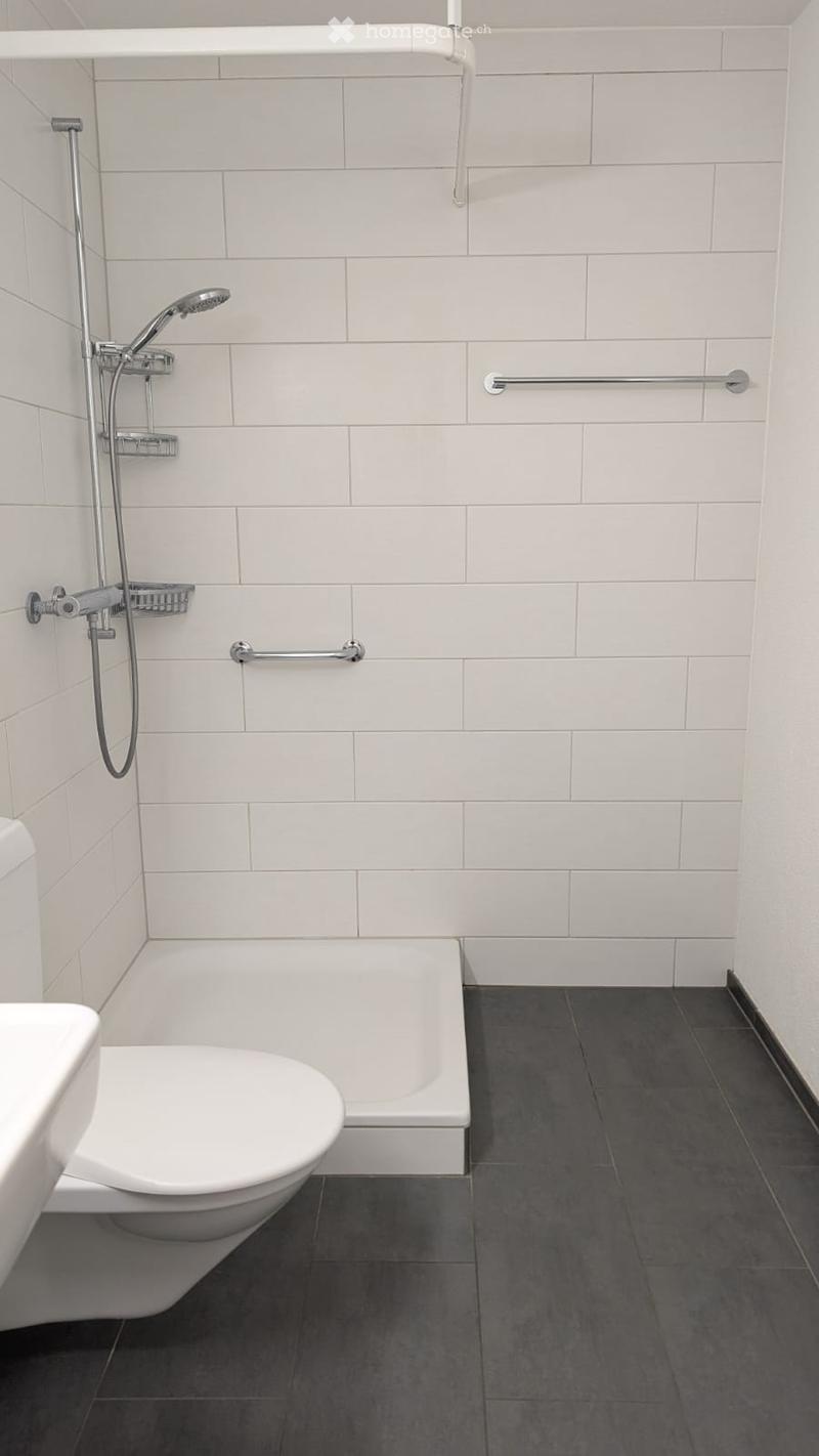 Modern bathroom with white tiles, a toilet, a bathtub, a showerhead, and handrails for accessibility.