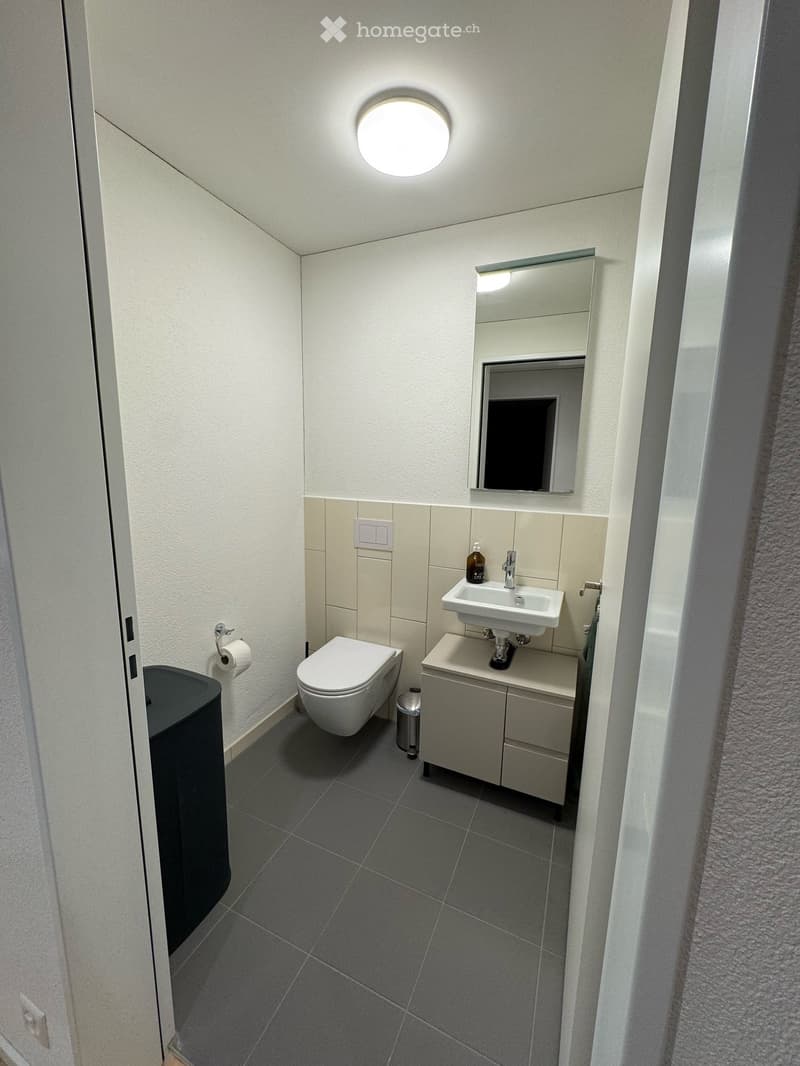 Modern bathroom with white walls, grey tiled floor, toilet, sink with cabinet, mirror, and a round ceiling light.