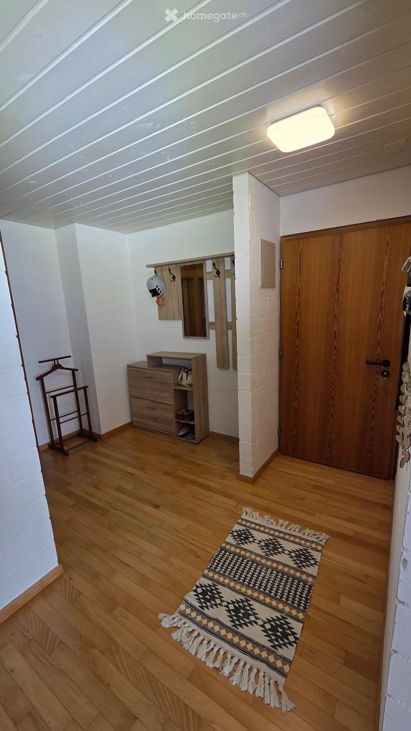 A small, well-lit hallway with wooden flooring, a wooden door, a wooden cabinet, a mirror, a coat rack, and a patterned rug.