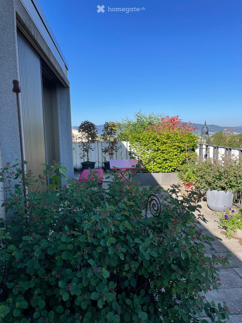 A rooftop garden with various potted plants, a pink folding table, and a clear blue sky in the background.