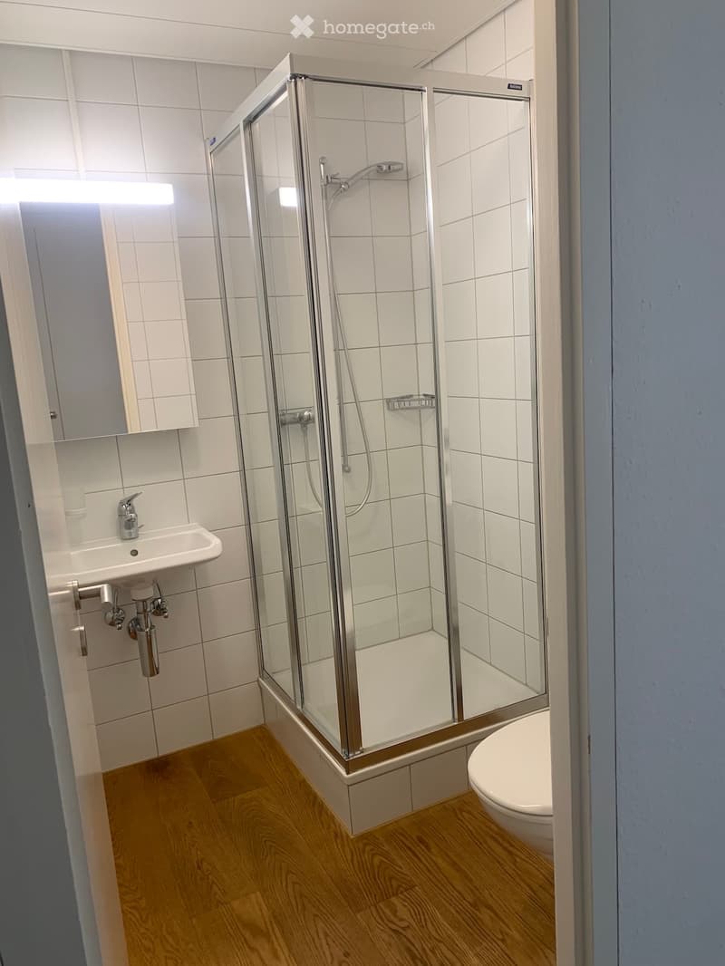 Modern bathroom with white tiled walls, wooden floor, glass-enclosed shower, sink, and toilet.
