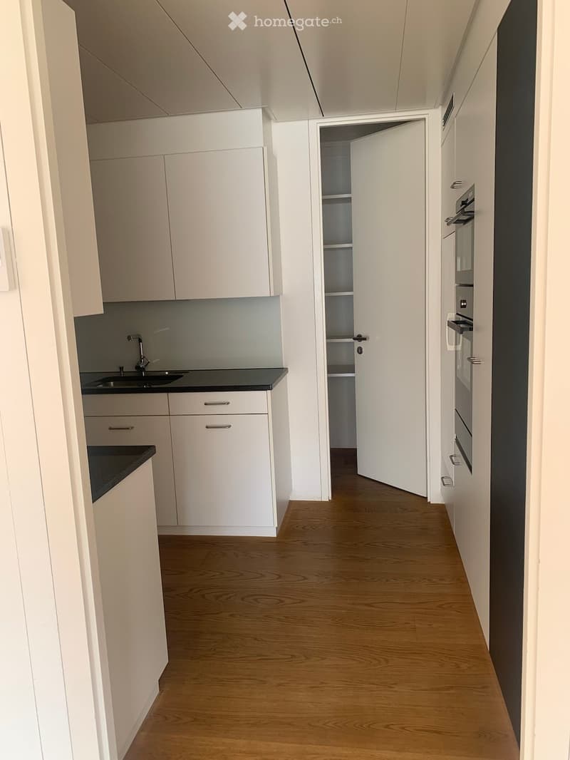 Modern hallway with light wooden flooring, white walls, and built-in cabinets. A small kitchen area is visible with white cabinets, a sink, and a countertop.