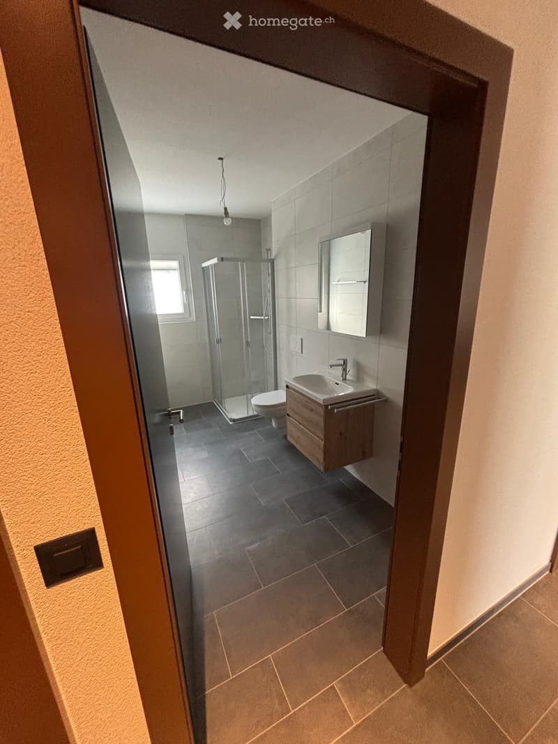 Modern bathroom with dark tiled floor, grey walls, a glass-enclosed shower, a sink with a wooden cabinet, and a toilet.