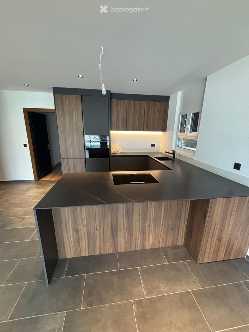 Modern kitchen with dark wooden cabinets, a central island, and built-in appliances.
