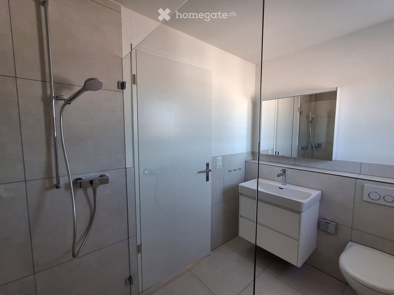 Modern bathroom with a glass-enclosed shower, a white sink with a mirror, and a toilet.
