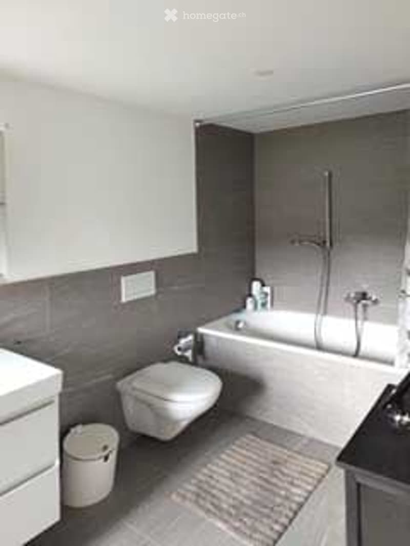 Modern bathroom with grey tiles, white fixtures, bathtub, toilet, sink, and shower. Includes a small trash bin and a cabinet.