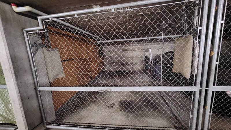 A metal cage or enclosure with a chain-link fence, situated in an industrial or utility area with visible pipes and structural elements.