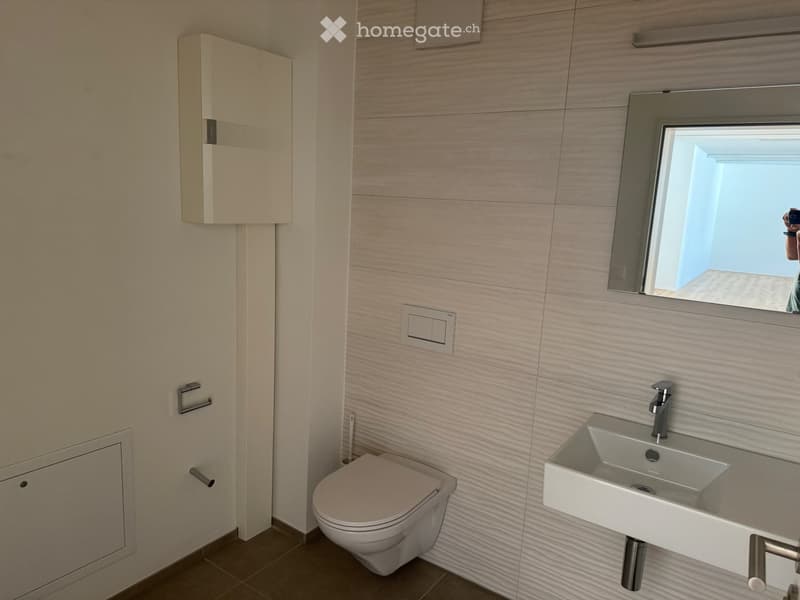 Modern bathroom with a toilet, sink, mirror, and cabinet. Light-colored tiles and sleek fixtures.
