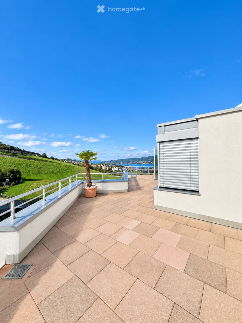 Spacious balcony with beige tiled flooring, metal railing, and a potted palm tree, overlooking a scenic landscape with hills and water.
