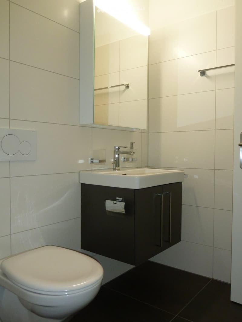 Modern bathroom with white tiles, a dark wooden cabinet under a sink, a chrome faucet, a mirror above the sink, and a white toilet.