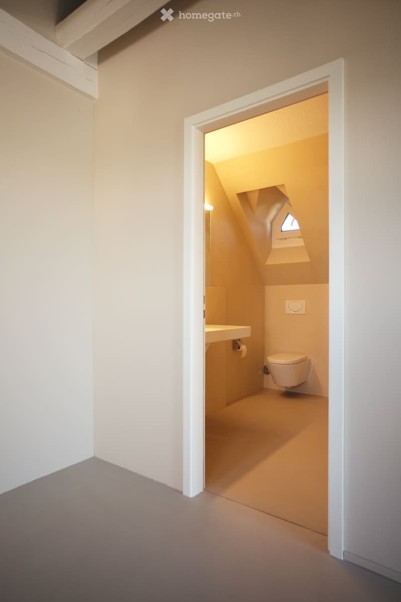 Modern, compact bathroom with a sink and toilet, featuring a skylight window for natural light and a sleek, minimalist design.
