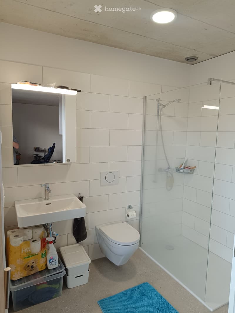 Modern bathroom with white tiles, a sink, toilet, glass-enclosed shower, and a mirror with built-in lighting. Cleaning supplies and a bath mat are visible.