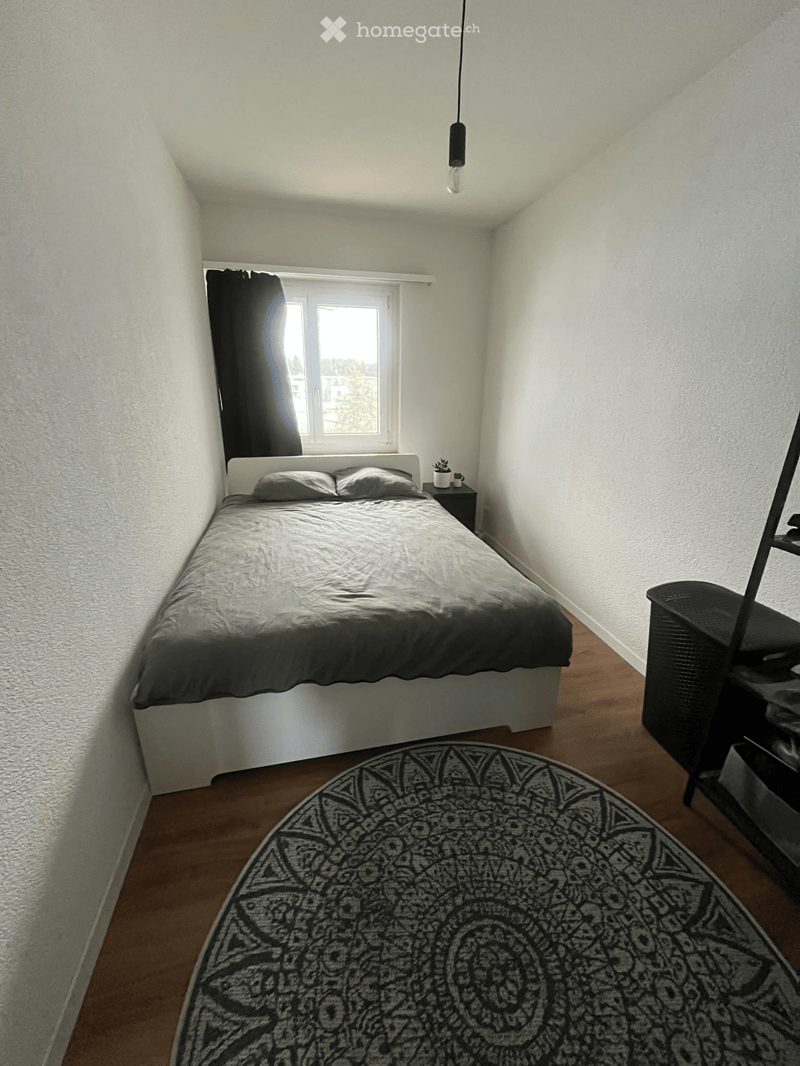 Cozy bedroom with a single bed, nightstand, potted plant, and a patterned rug on the floor.