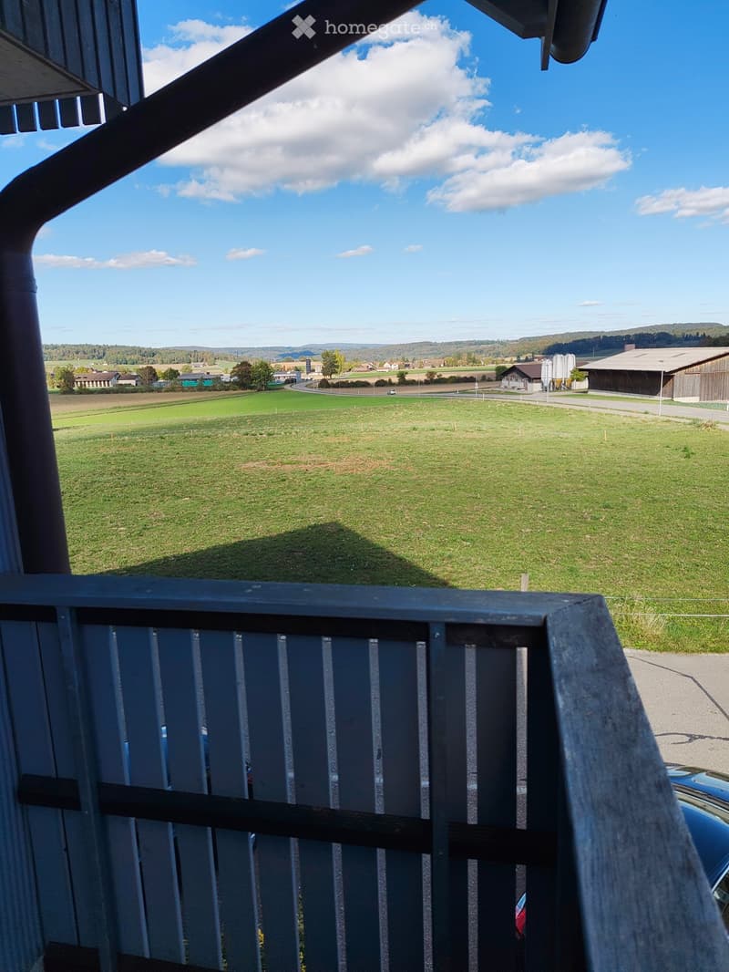 View from a balcony overlooking a green field and distant countryside with scattered buildings and a clear blue sky.