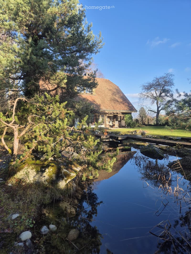 A serene garden with a pond, stone pathways, and a wooden deck leading to a cozy house with a thatched roof. The area is surrounded by lush greenery and trees.