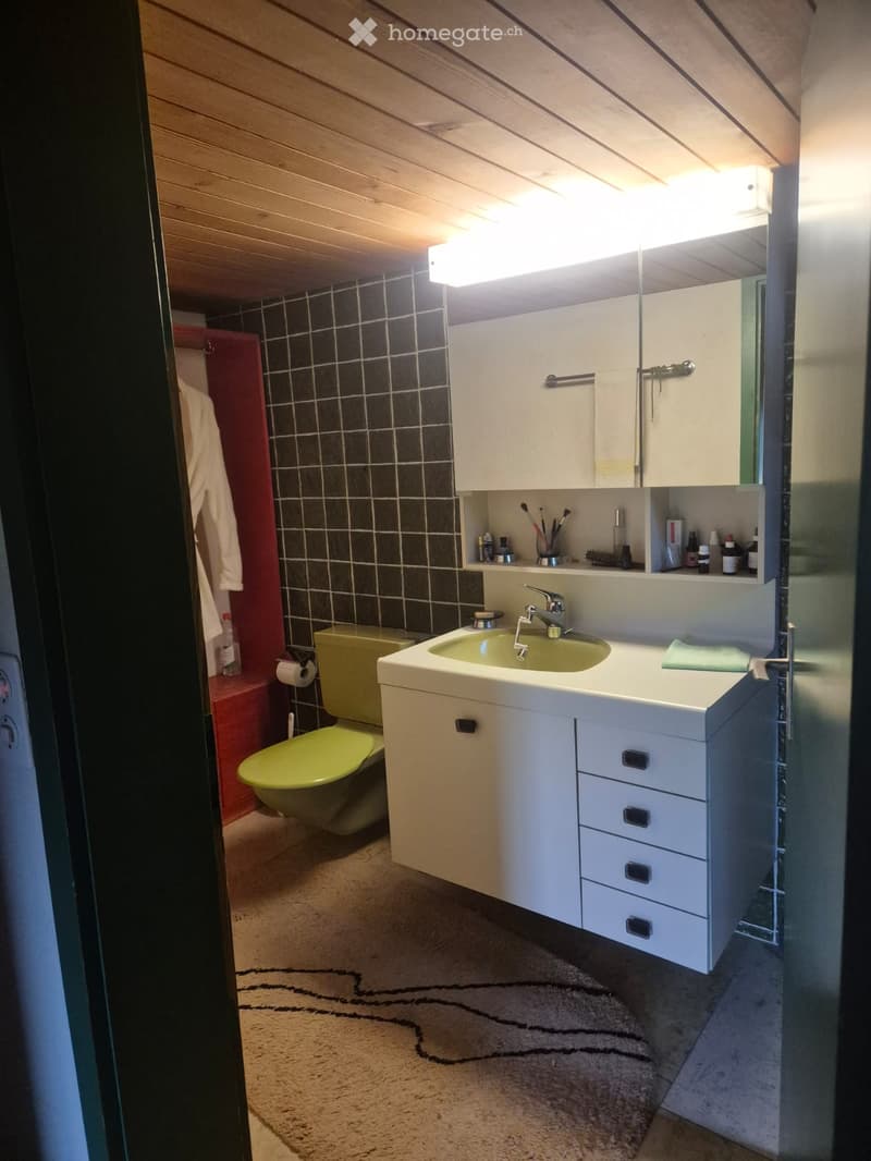 Bathroom with a white sink, mirror, and cabinet, a green toilet, and a towel hanging on the wall. The room features dark tiled walls and a beige carpet with a black design.