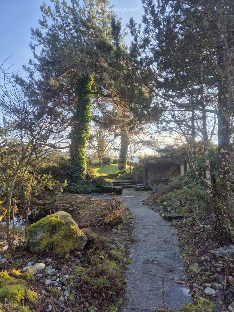 A serene garden path lined with trees and moss-covered rocks, leading to a small stone structure, surrounded by lush greenery and a calm pond.