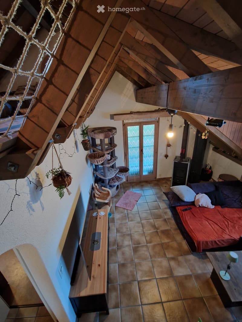 A cozy living space with a sofa, cat tree, small table, and hanging plants. The room features exposed wooden beams and a tiled floor.