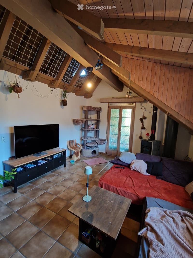 A cozy living space with a wooden ceiling, tiled floor, and a mix of furniture including a sofa, bed, coffee table, TV stand, and a cat tree.