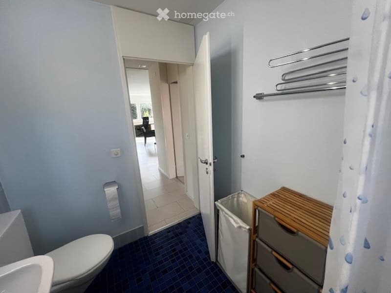 small bathroom with toilet, sink, blue tile floor, and washing basket next to wooden cabinet