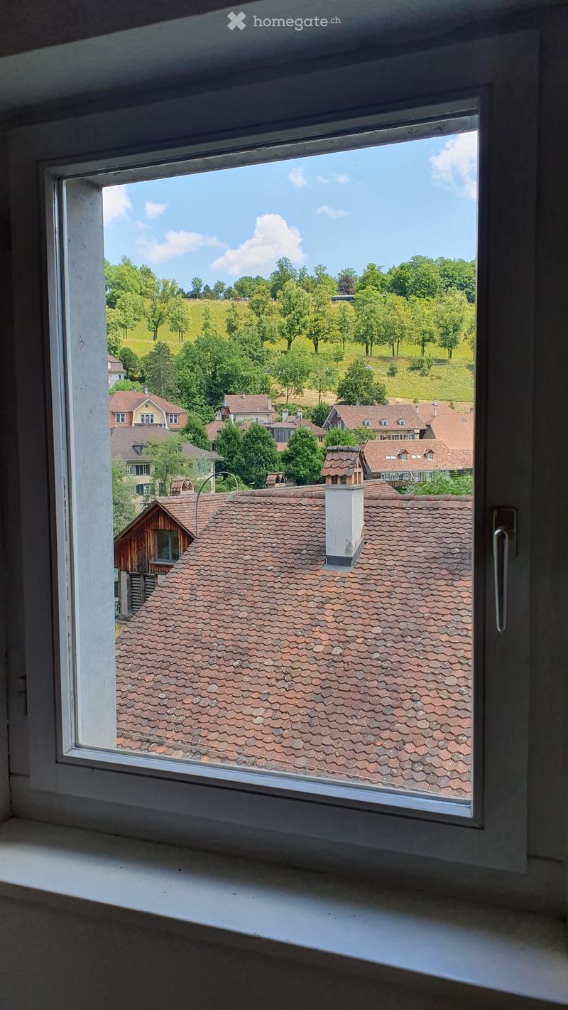 View from a window showing a tiled roof and surrounding houses with trees and greenery in the background.