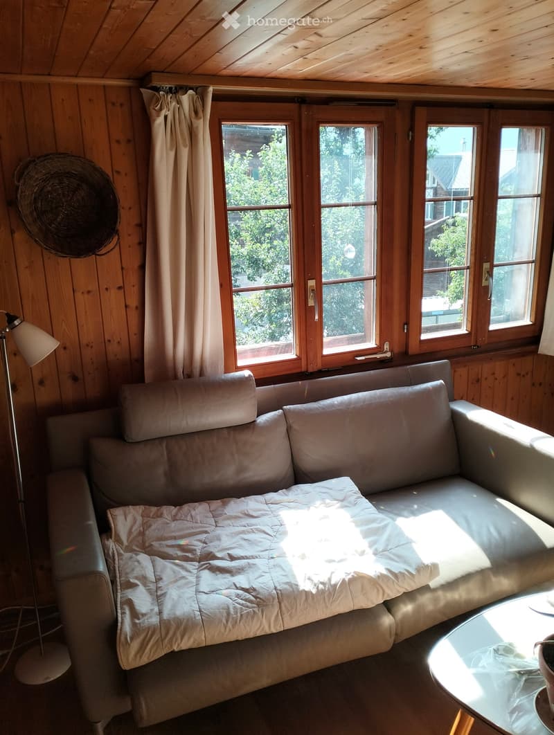 Cozy living space with wooden walls and ceiling, large windows, a sofa with a quilt, a small round table, a fan, and a floor lamp.