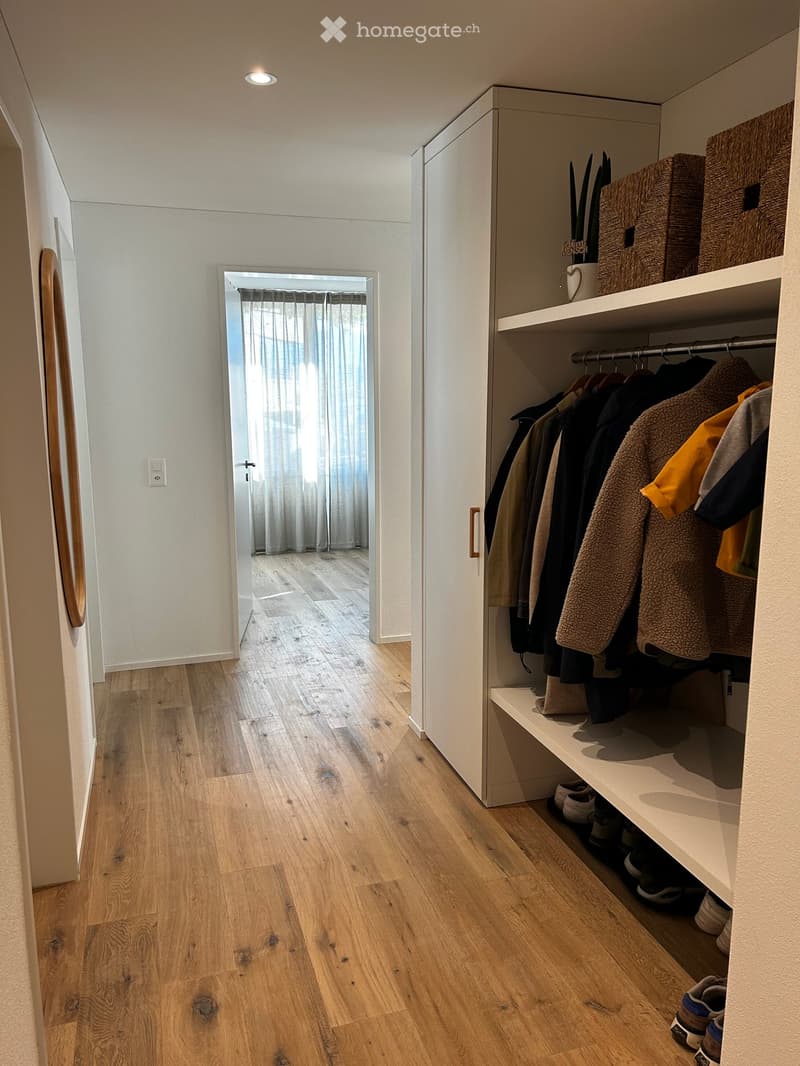 A modern hallway with light wooden flooring, white walls, and built-in closet with hanging clothes and shelves for shoes and storage boxes.
