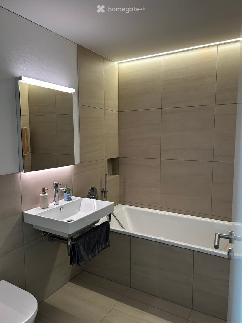 Modern bathroom with a white sink, bathtub, and built-in mirror with LED lighting. Features a towel, soap dispenser, and small plant on the sink.